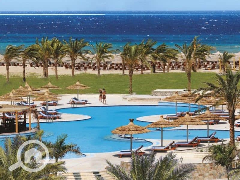 5 Untitled design - 2023-07-17T134124.731. png