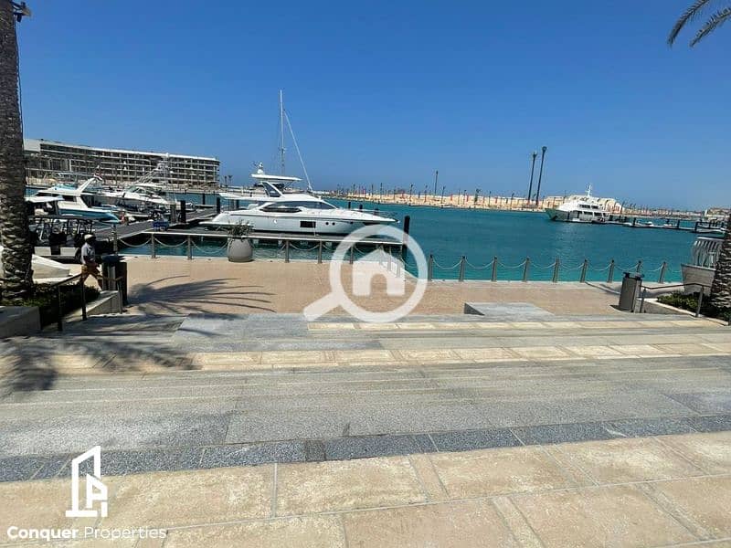 Untitled design - 2023-07-26T150755.698. png Untitled design - 2023-07-26T150755.698. png