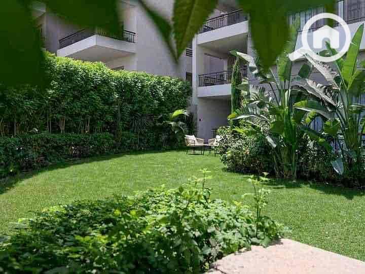 4 d5ac5393-4dcb-49d1-b603-e11e40808138. jpg