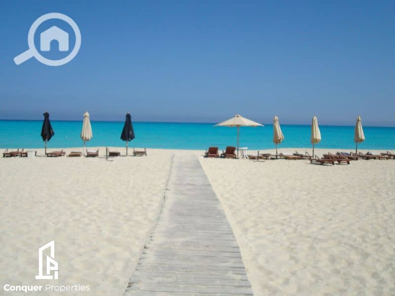 10 Untitled design - 2023-07-26T151156.238. png