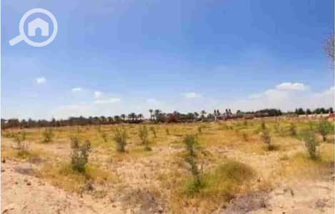 Residential Land for Sale in 6th of October, Giza - 37701. jpg