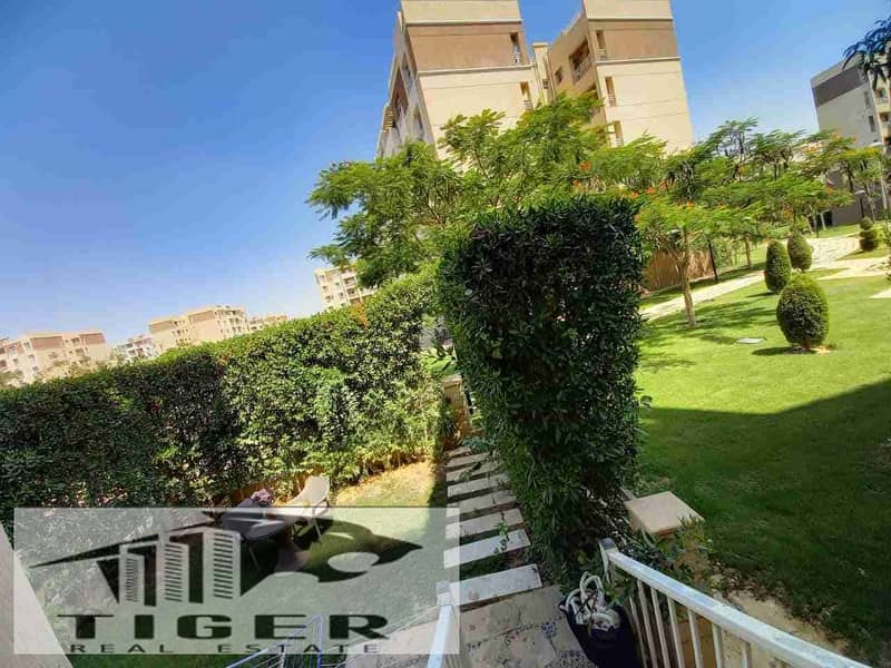 1000049216. jpg 1000049216. jpg