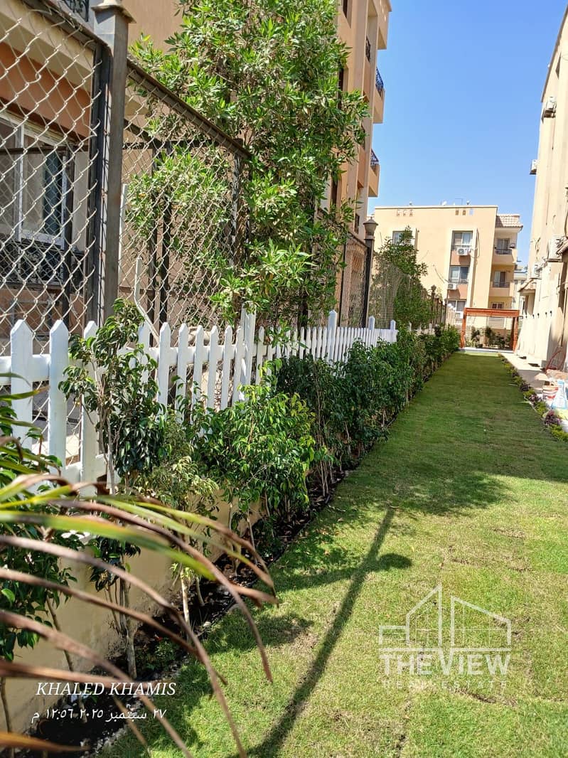 14 WhatsApp Image 2025-09-27 at 22.31. 44_8335f9df. jpg