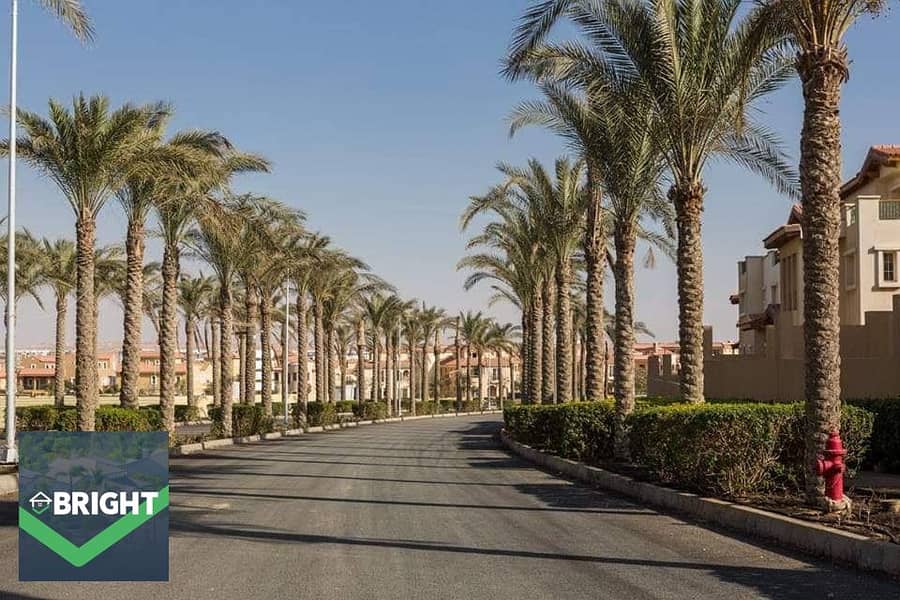 7 97083148_2666590760327274_8151968367280914432_n. jpg