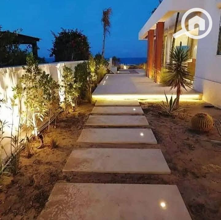 540738137_1342172400571968_3721433050522936574_n. jpg 540738137_1342172400571968_3721433050522936574_n. jpg