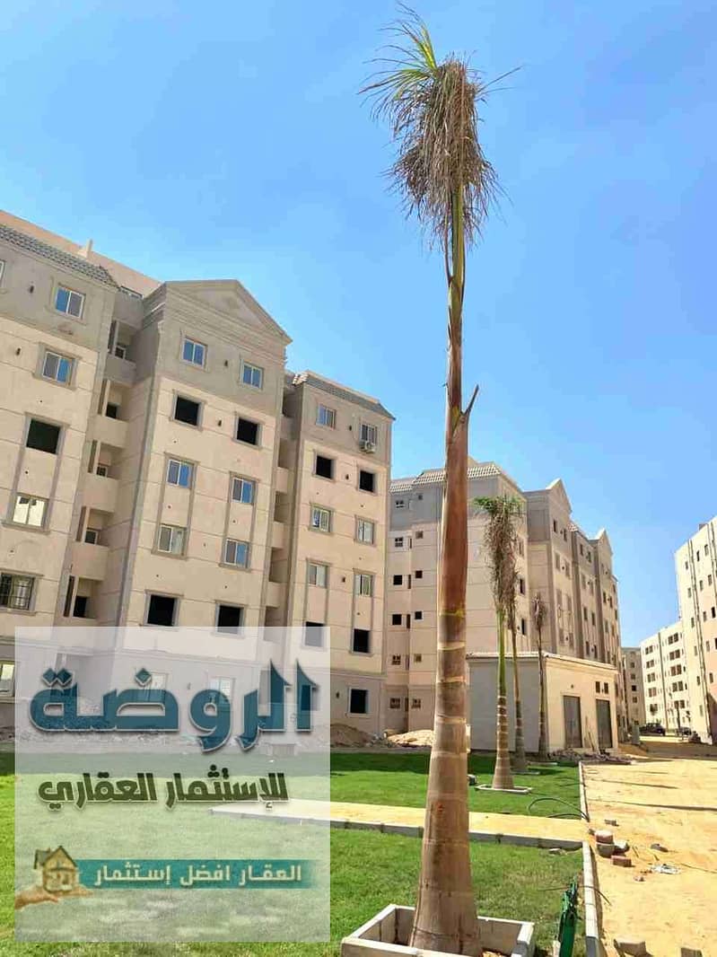 14 1000240316. jpg