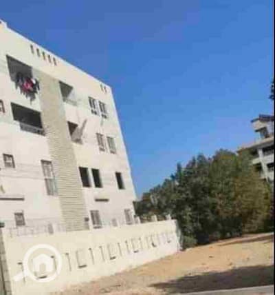 Residential Land for Sale in Dokki, Giza - 1000362111. jpg