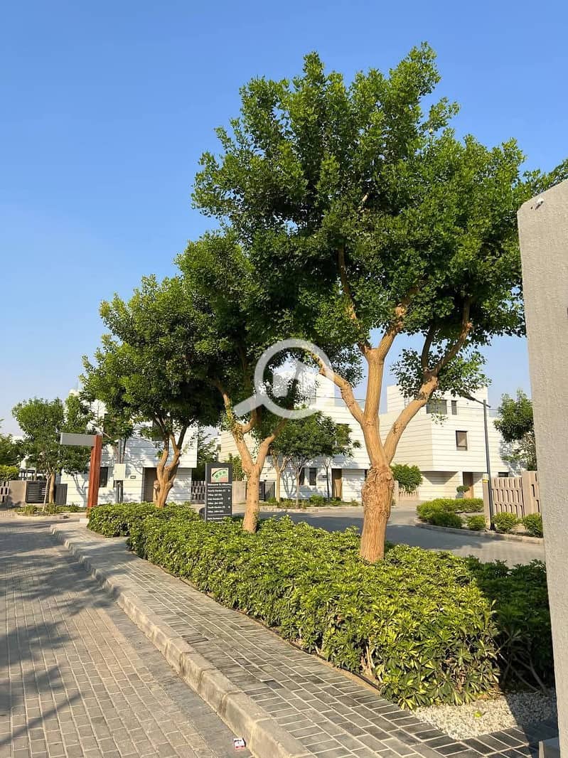 12 cad6d099-7fc9-4c4a-9e8a-8ff2e524b954. jpg