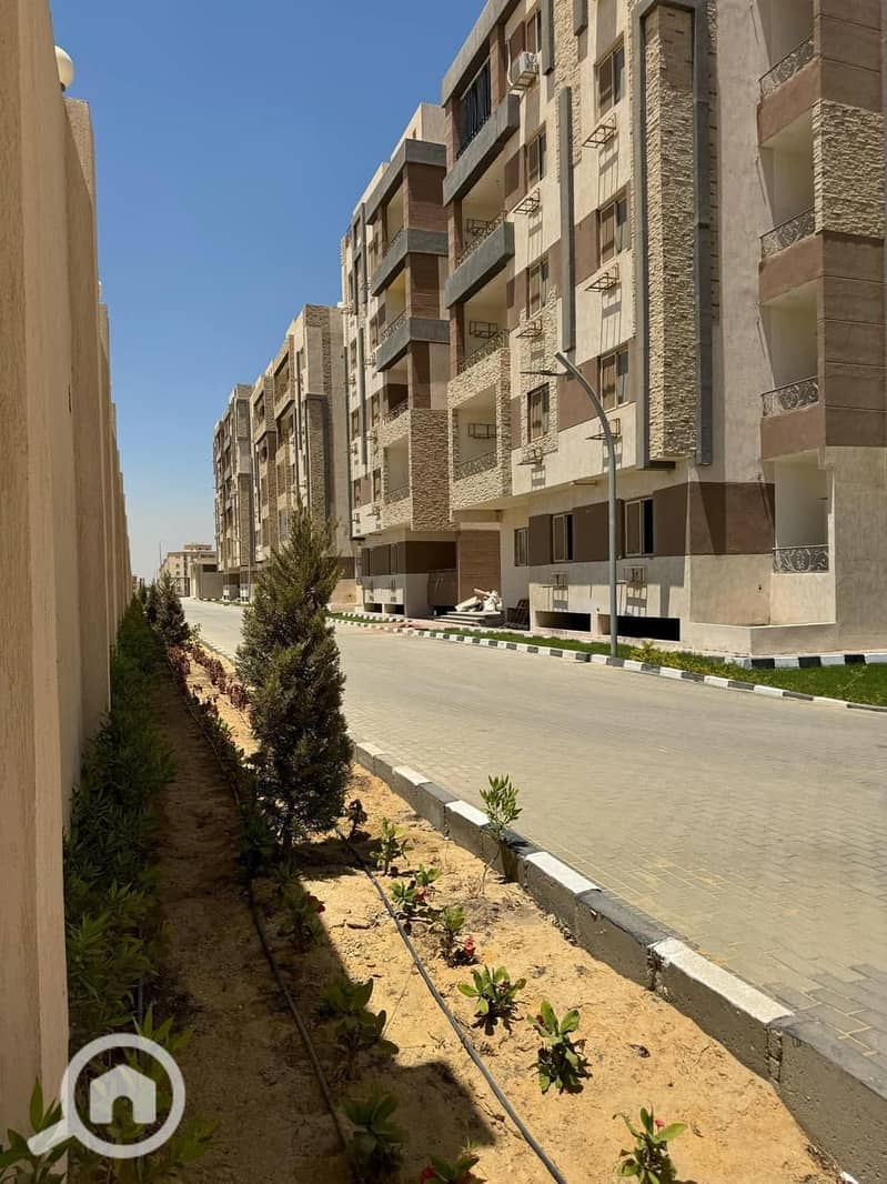 4 IMG-20251020-WA0010. jpg