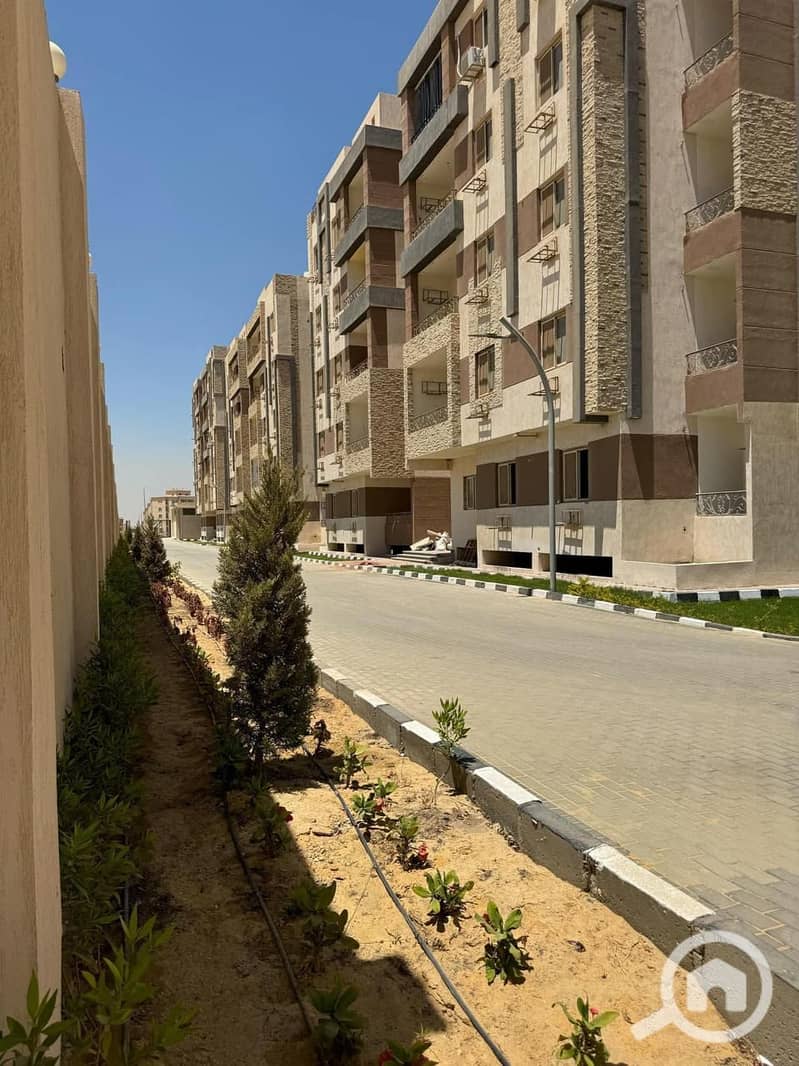 7 IMG-20251020-WA0010. jpg