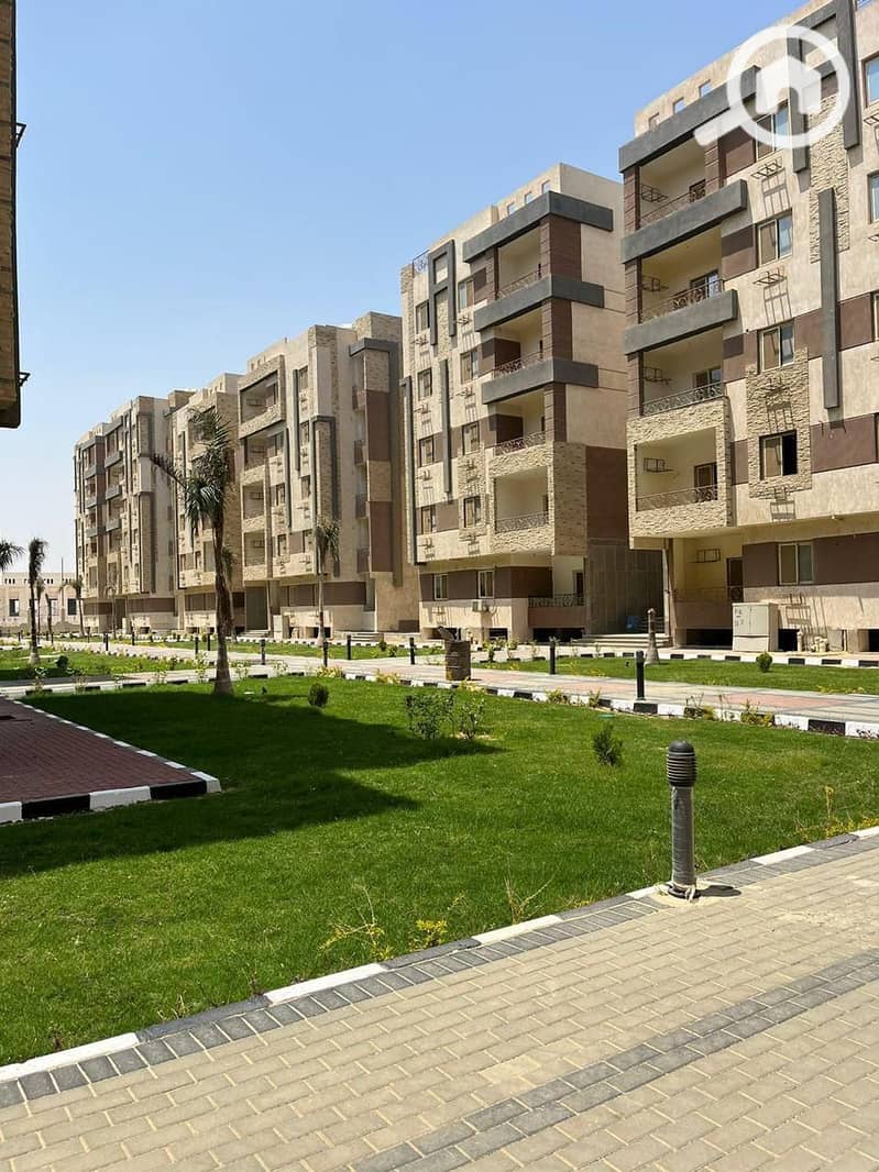 8 IMG-20251020-WA0009. jpg