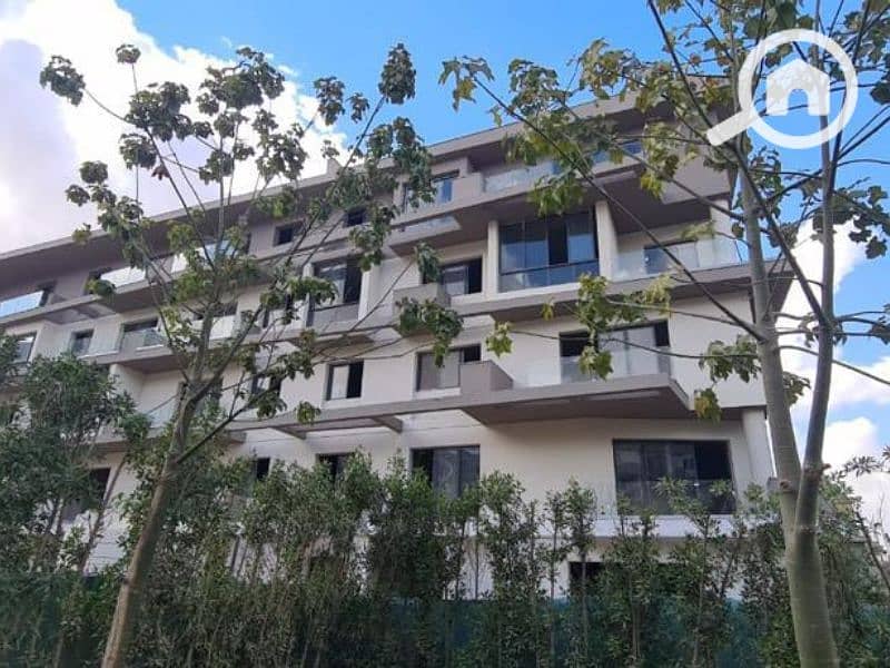 6 Untitled design (91). png