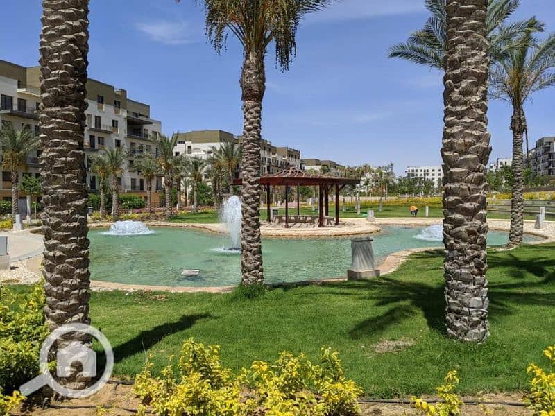 7 Untitled design (97). png