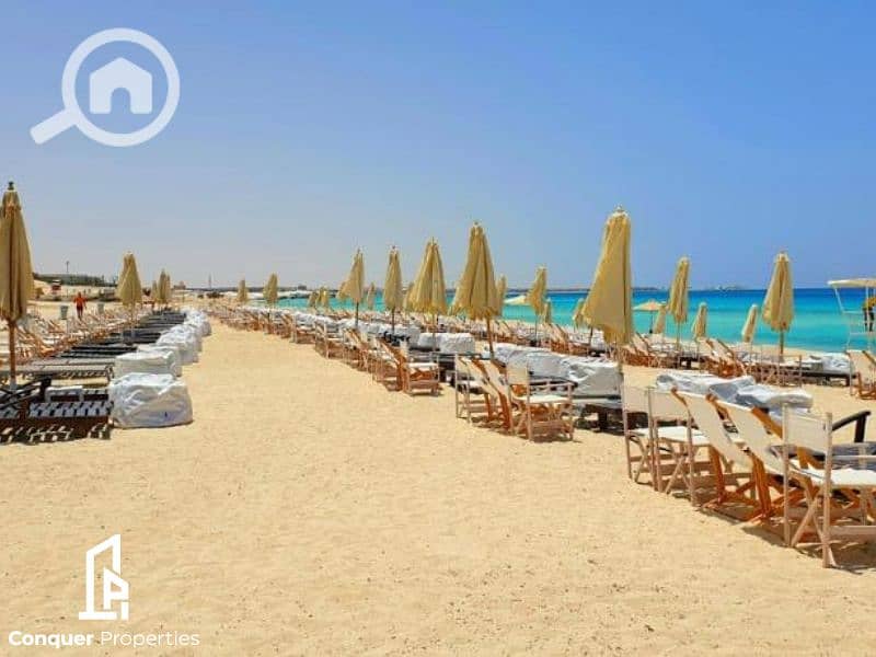 Untitled design - 2023-07-26T151121.605 - Copy (3). png Untitled design - 2023-07-26T151121.605 - Copy (3). png