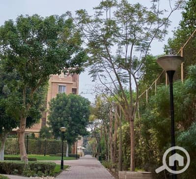 2 Bedroom Apartment for Rent in Sheikh Zayed, Giza - 1000659440. jpg