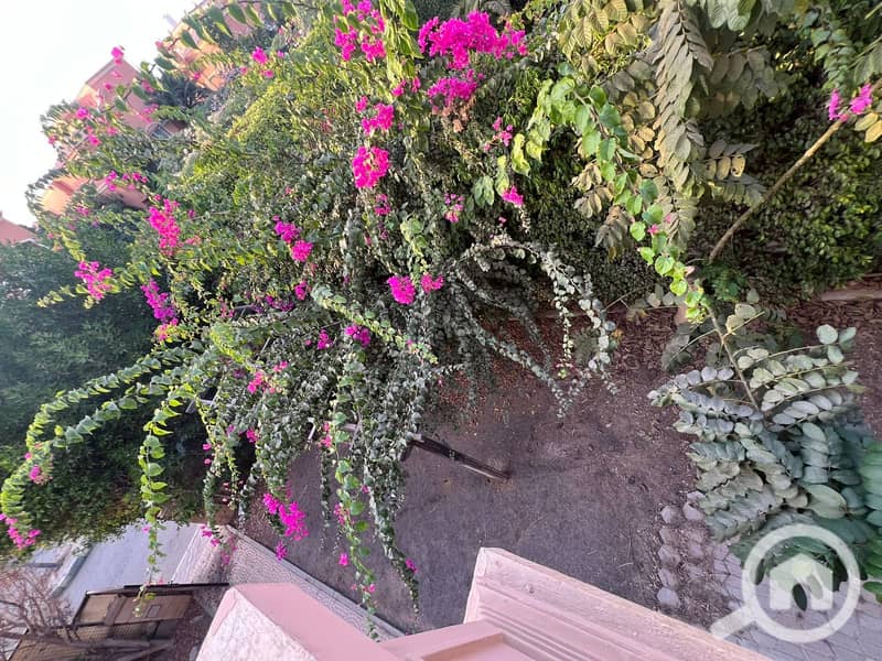 5 IMG-20251024-WA0071. jpg