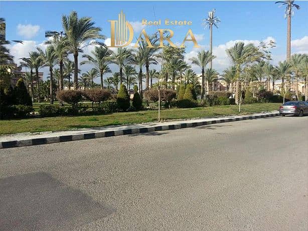 10 45شسيب. jpg