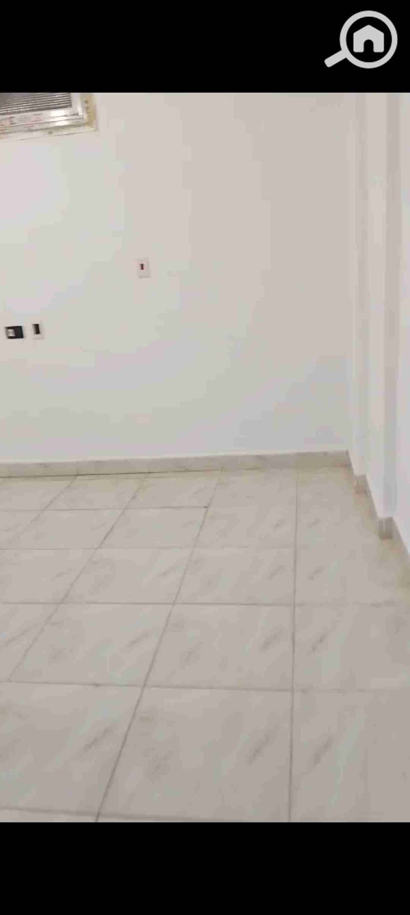 3 1000047365. jpg