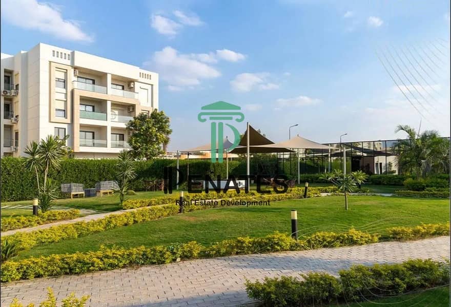 8 7615072-168dbo_1150x784. jpg