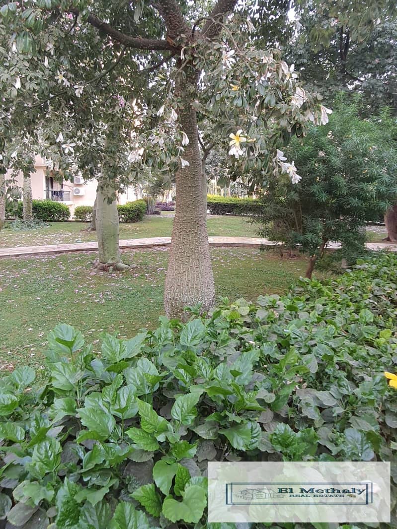 9 686660df-14a4-4540-8fb1-a4a949d24ba0. jpg