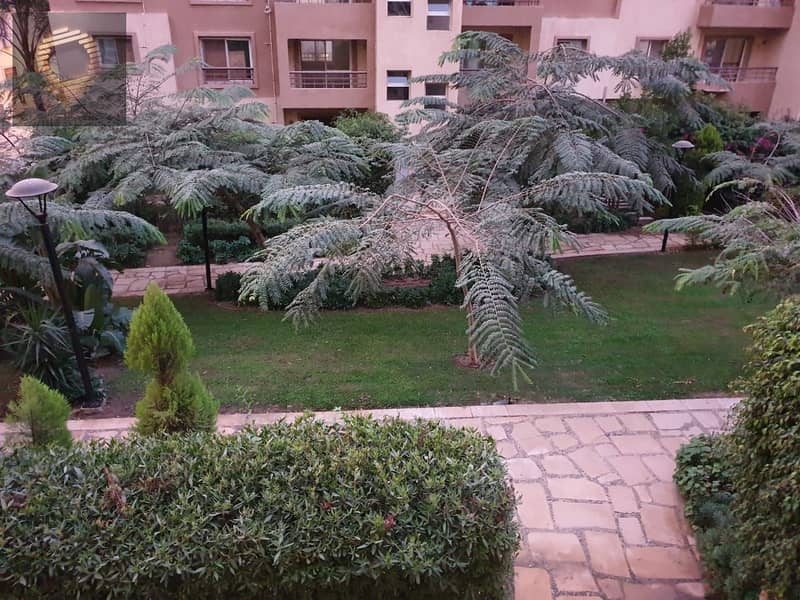 11 WhatsApp Image 2025-10-04 at 16.03. 58_1bb814fa. jpg