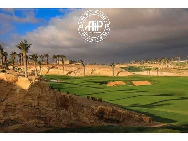 9 B8jgxPk8uPvFj9UxJl7KeY8mnPLONLOGDKaiKWUM. jpeg