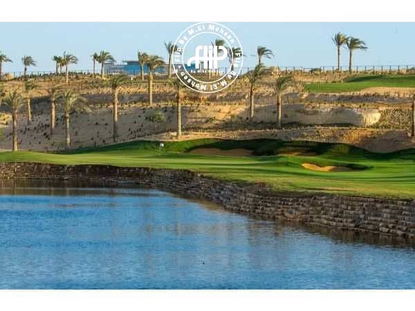 12 nhxS1TipXKXpRmGXMQtynJmimAxRe1dPRCoTr7VB. jpeg