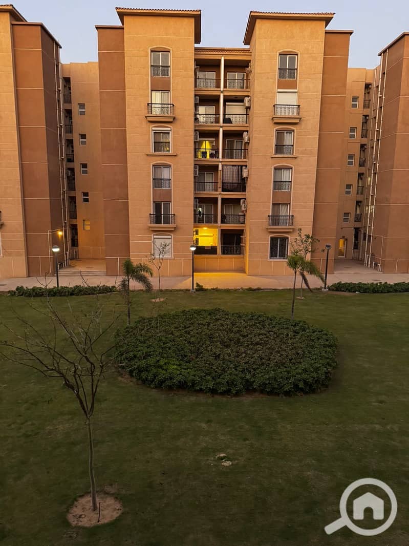 13 6ff3395c-143e-4d0d-83a6-74aa7fb80e42. jpeg