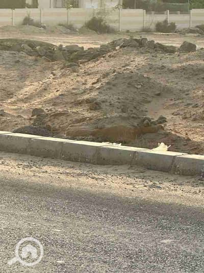 أرض سكنية  للبيع في 6 أكتوبر، الجيزة - 42831. jpg