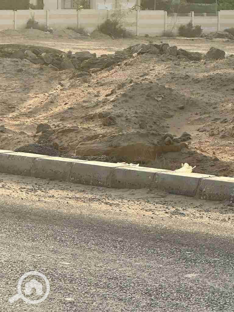 42831. jpg 42831. jpg