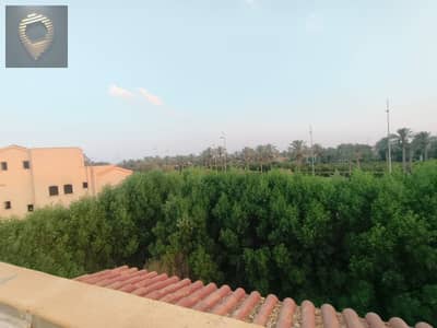 3 Bedroom Villa for Sale in Madinaty, Cairo - WhatsApp Image 2025-10-15 at 12.53. 15_4fd75bbb. jpg 3 Bedroom Villa for Sale in Madinaty, Cairo - WhatsApp Image 2025-10-15 at 12.53. 15_4fd75bbb. jpg