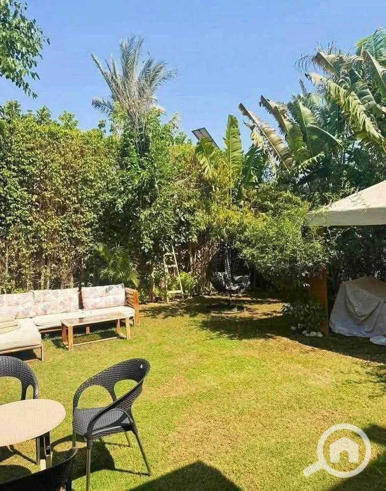 3 554711227_1594104024913043_726601588729517328_n. jpg