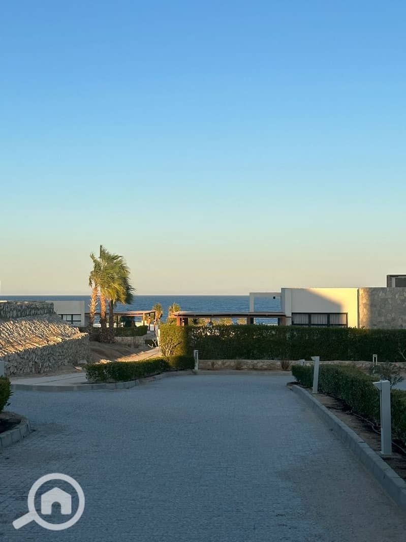 7 photo_2025-03-06_20-07-07 (2). jpg