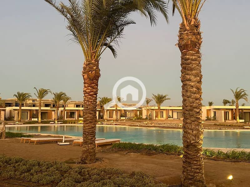 9 photo_2025-03-06_20-06-54. jpg