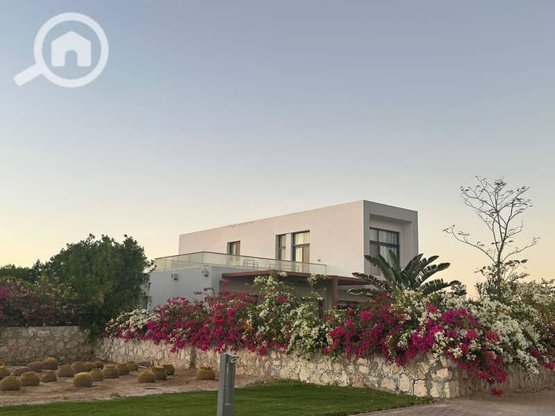 photo_2025-03-06_20-06-58. jpg photo_2025-03-06_20-06-58. jpg