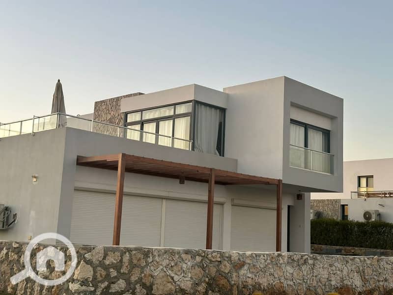 2 photo_2025-03-06_20-07-01. jpg