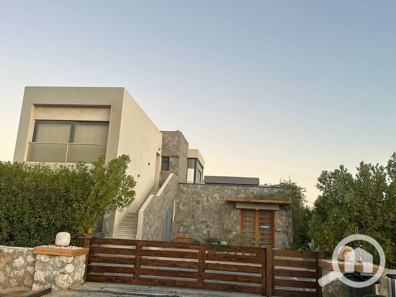 3 photo_2025-03-06_20-07-00. jpg