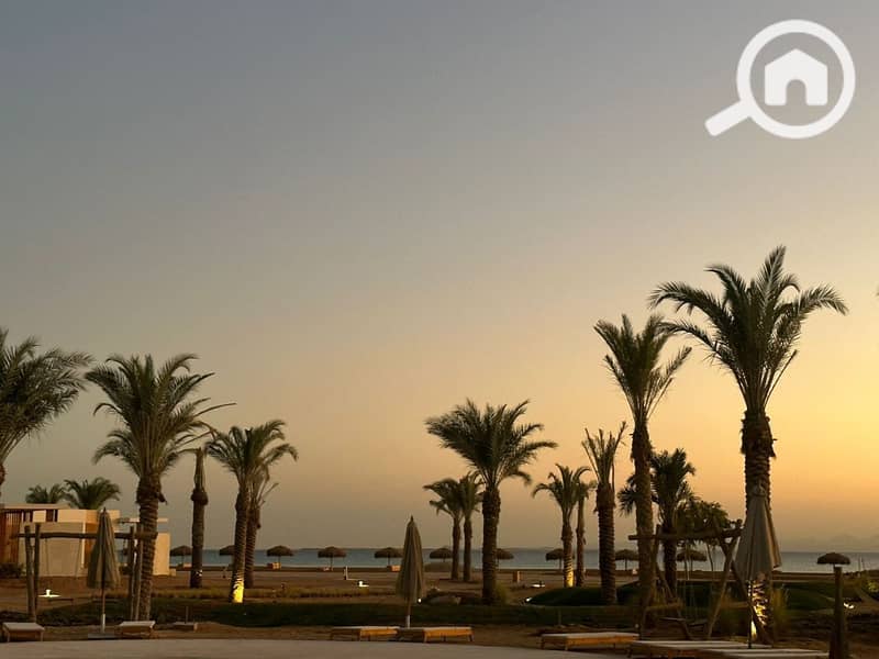 9 photo_2024-12-20_22-29-58. jpg