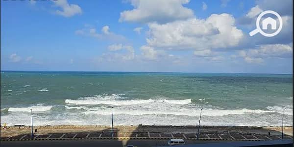 2 Bedroom Apartment for Sale in Al Ibrahimiyyah, Alexandria - 44. png