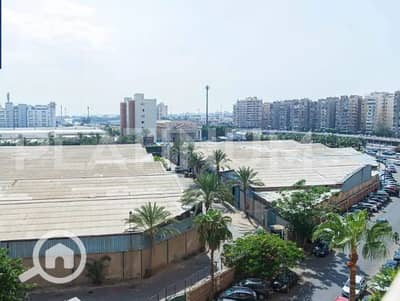 شقة 3 غرف نوم للايجار في سموحة، الإسكندرية - 1566. png