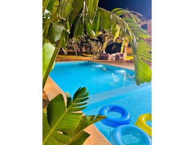 فیلا 5 غرف نوم للايجار في القاهرة الجديدة، القاهرة - 2d11051d-ad2a-49e0-8e95-295056d0dbdc. jpg فیلا 5 غرف نوم للايجار في القاهرة الجديدة، القاهرة - 2d11051d-ad2a-49e0-8e95-295056d0dbdc. jpg