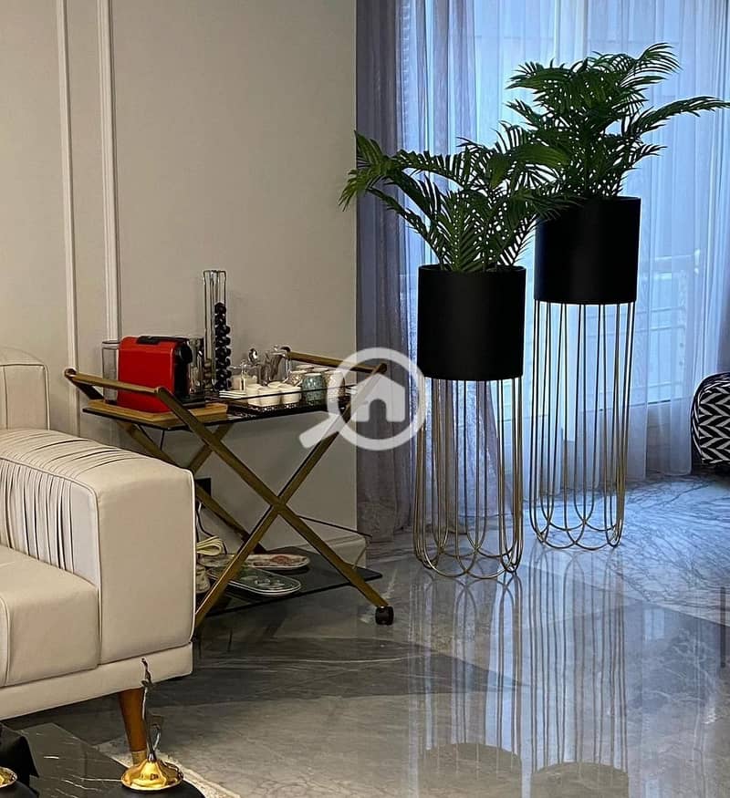 8 WhatsApp Image 2024-11-24 at 3.49. 21 PM. jpeg