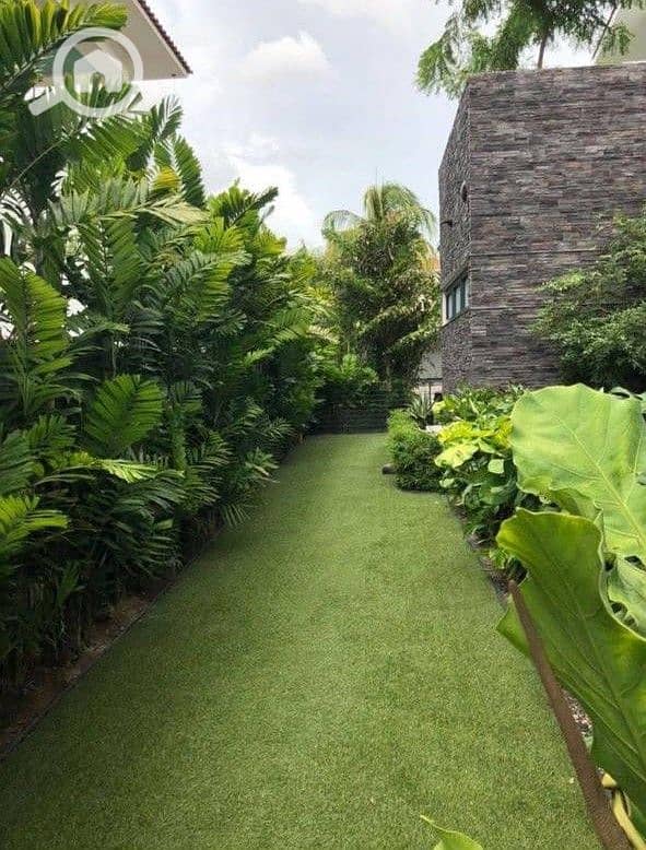 2 7451f24b-4a0a-4bc4-ae69-916ff10ca2a9. jpg