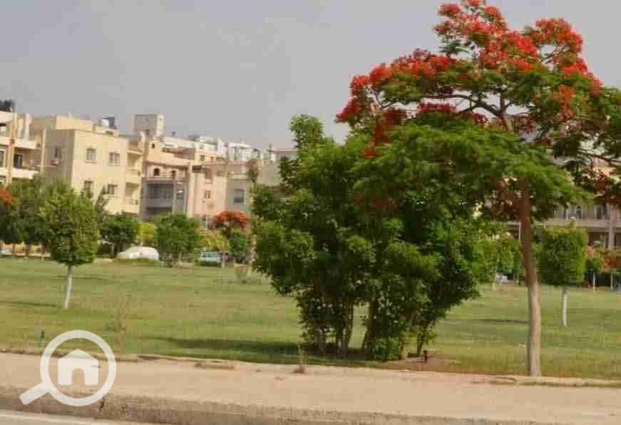 2 FB_IMG_1761346060453. jpg