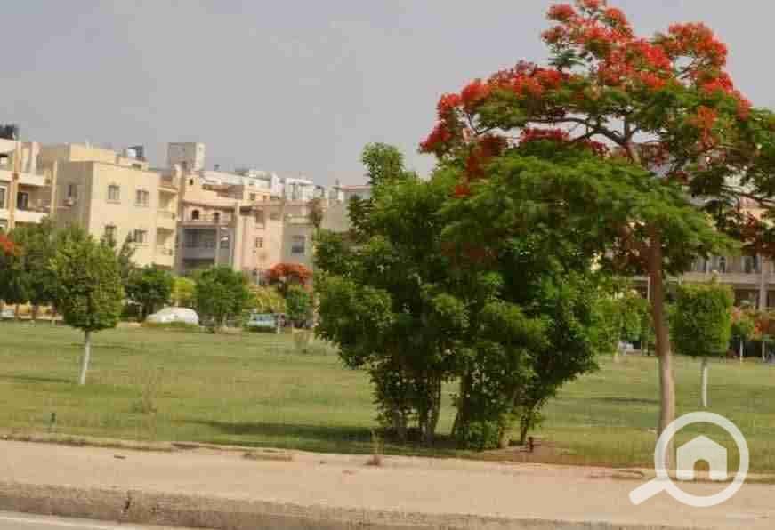 7 FB_IMG_1761346060453. jpg