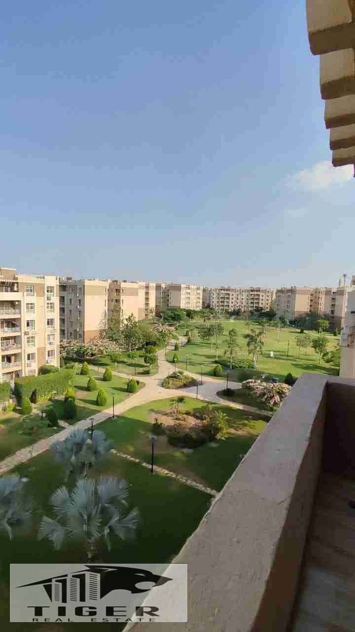 1000427881. jpg 1000427881. jpg