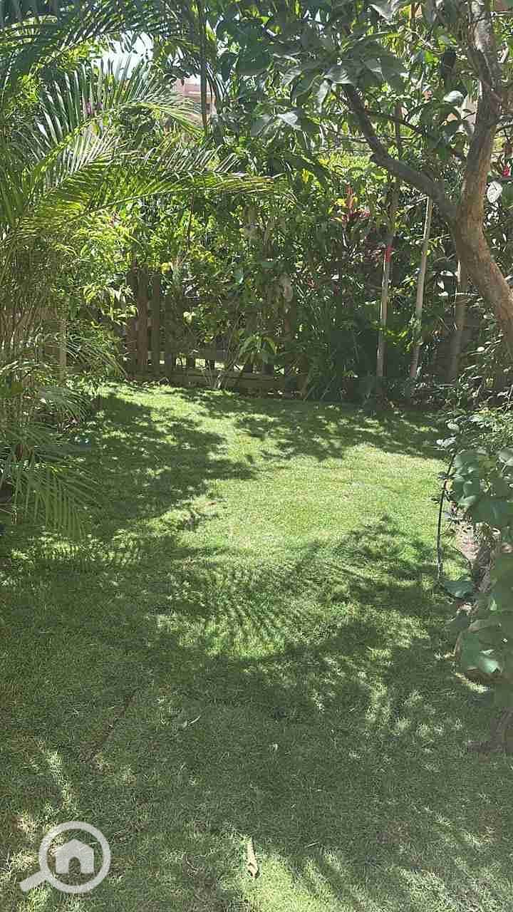 19 IMG-20251022-WA0273. jpg