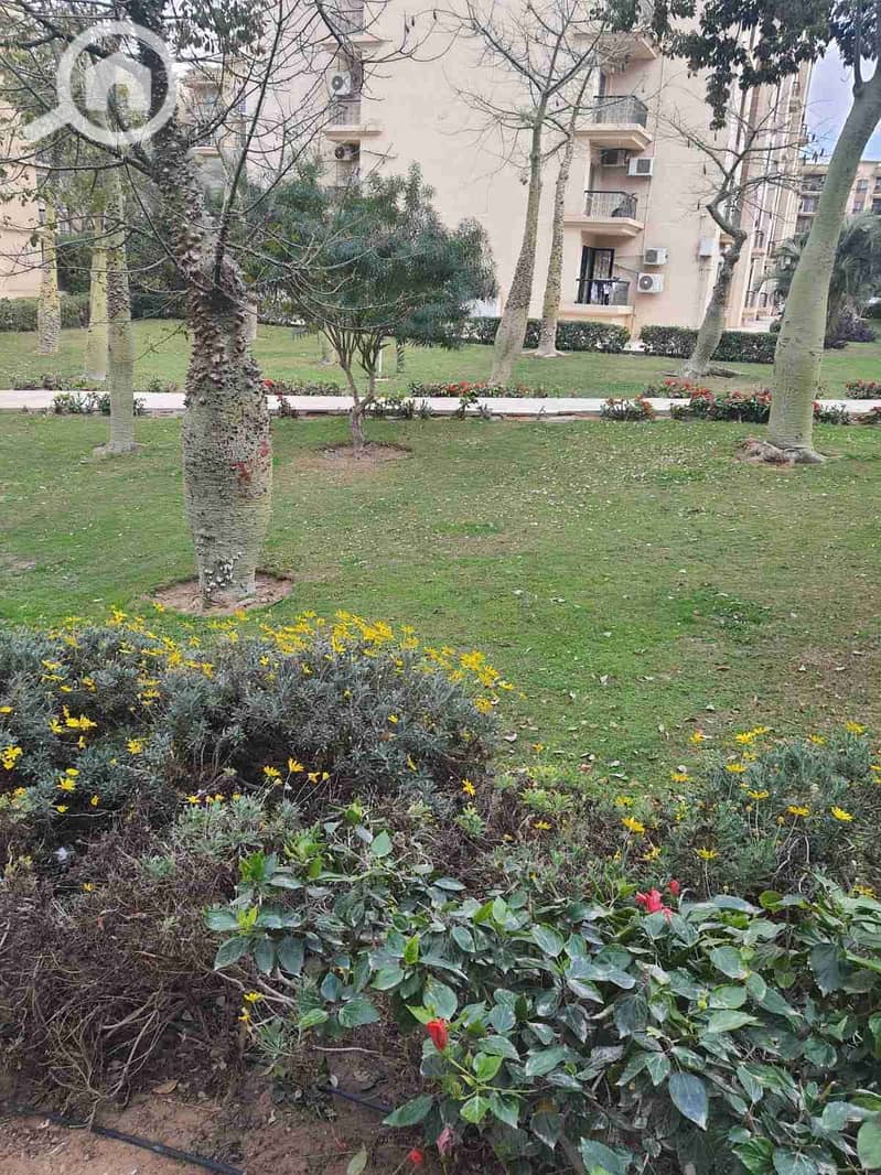 6 IMG-20251022-WA0039. jpg