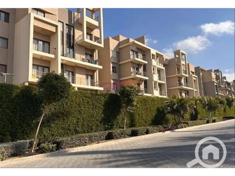 11 6627559-8f1dbo. jpg