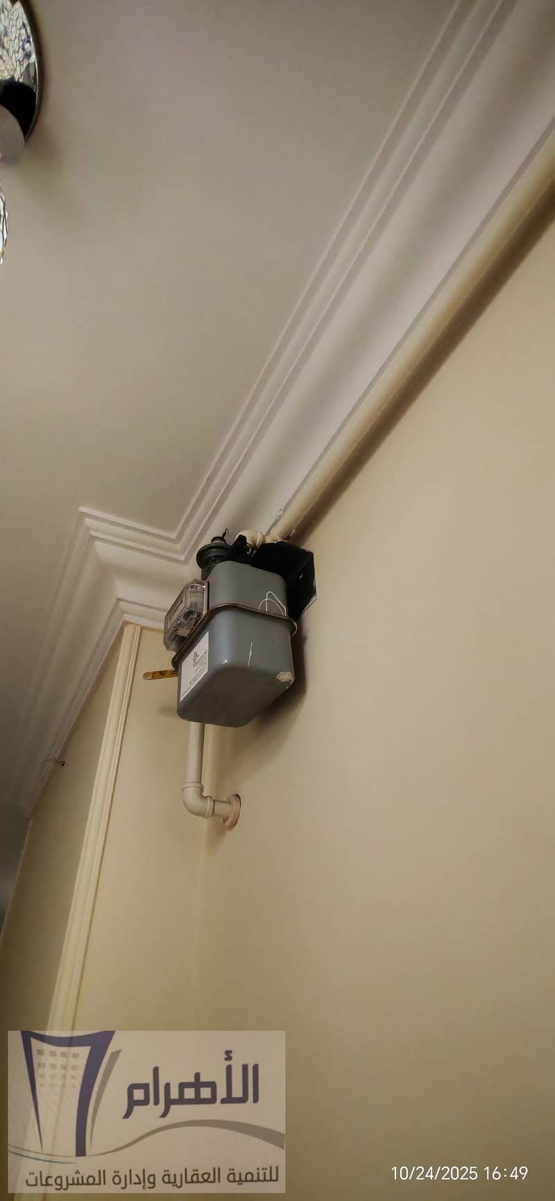 33 571203510_2591266257907251_129431823146730843_n. jpg